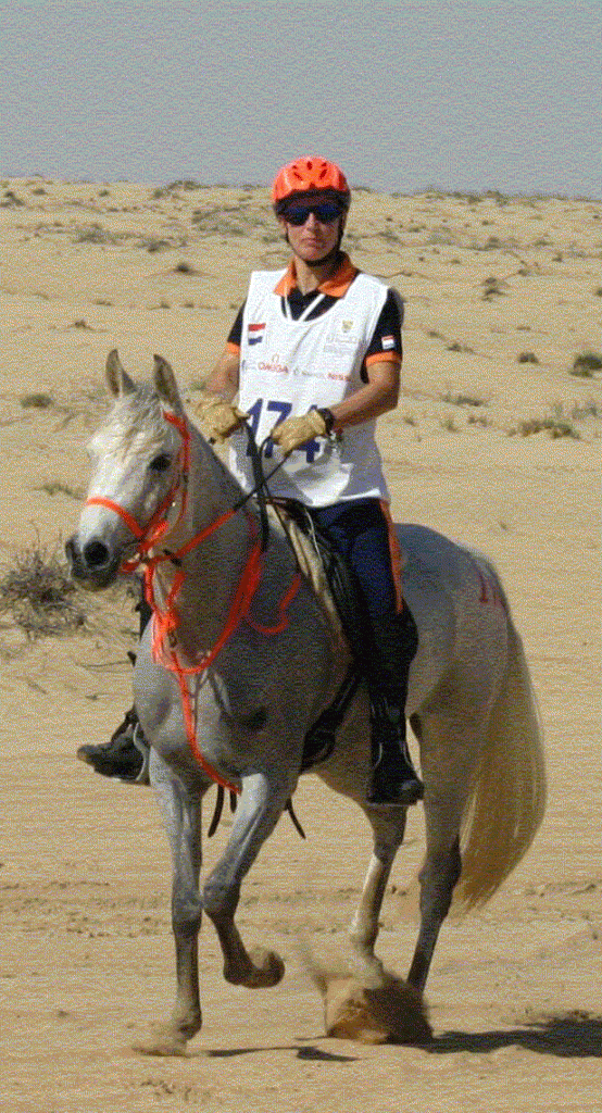 WK Dubai 2005